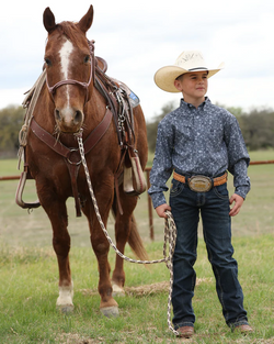 Cinch® Youth Button-Down Arenaflex® Long Sleeve Shirt - Light Blue Print
