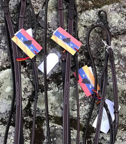 Dzia Sports Easy-Off Martingale
