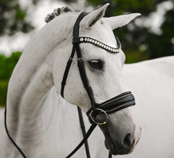 Lumiere Diva Bridle (Cavesson)