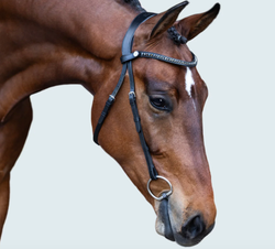 Lumiere Sienna Nosebandless Bridle