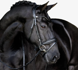 Lumiere Penny Snaffle Bridle