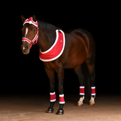 Horze Santa Harness