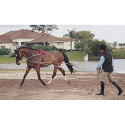 Pessoa® Lunging System