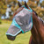 Weatherbeeta Comfitec Deluxe Fine Mesh Mask with Ears