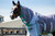Shires Highlander Fine Mesh Fly Sheet/Neck Set