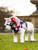LeMieux® Toy Pony Flower Sash
