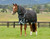Weatherbeeta ComFiTec Ultra Comfi Detach-A-Neck Heavy Weight Blanket
