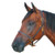 Intrepid 3/4" Deluxe Track Halter - Pony