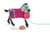 Schleich® Playful Foal