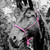 Do Or Do Knot® Rope Halter with Ring & Snap