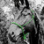 Do Or Do Knot® Rope Halter with Ring & Snap