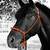Do Or Do Knot® Knotted Noseband Rope Halter with Ring & Snap