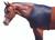 Sleazy Sleepwear for Horses™ Shoulder Guard - XL