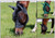 Equinavia Bug Out Fly Mask
