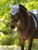 LeMieux® Classic Ear Bonnet