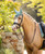 LeMieux® Loire Ear Bonnet
