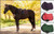LeMieux® Loire Classic Close Contact Square Saddle Pad