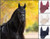 LeMieux® Essence Fly Hood