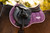 LeMieux® Loire GP Square Saddle Pad