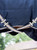 LeMieux® Kudos Stable Blanket - 100g