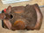 Used 16" Western Saddlery Western Saddle