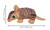 KONG® Maxx Armadillo Plush Dog Toy - Small