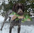 Tall Tails® Jointed Alligator Plush Dog Toy - 14"