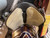 Used 16" Wintec Trail Western Saddle