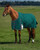 Weatherbeeta ComFiTec Plus Dynamic 0G Standard Neck Turnout Blanket