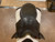 Used 17.5" Stubben Euphoria Dressage Saddle M