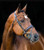 Horze Clermont Ergonomic Crystal Bridle