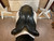 Used 18.5" Trilogy Verago Elite Dressage Saddle XW