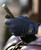 LeMieux® Pro Mesh Gloves