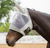 Equinavia Algard Soft Mesh Fly Mask with Ears