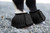 Equinavia Double Lock Rubber Bell Boots
