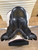 Used 17" Schleese Wave Dressage Saddle XW