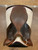 Used 17" Butet Saumur Close Contact Saddle M
