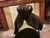 Used 17.5" Trilogy Amadeo Elite Dressage Saddle MW