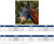 Weatherbeeta ComFiTec Deluxe Stretch Fly Mask With Ears