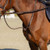 Equinavia Valkyrie Fancy Stitched Standing Martingale