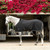 Equinavia Vind Stable Sheet