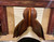 Used 17.5" Stubben Artus Close Contact Saddle MW