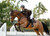 LeMieux® Brilliance Close Contact Square Saddle Pad