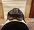 Used 17.5" Schleese Dressage Saddle MN