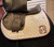 Used 18" Prestige X-Breath Close Contact Saddle MW