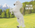 Breyer® Pluto Gratia - Lipizzan