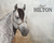 Breyer® Jaguel Hilton | Criollo Stallion