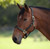 Shires Velociti Lusso Lorca Leather Headcollar
