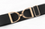 Ellany Black - 2" Rose Gold Stirrup Elastic Belt