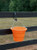 BOSS™ Bucket - 5 Gallon